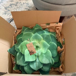 MARYANN added a photo of their purchase