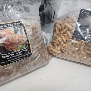 Will added a photo of their purchase