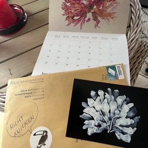 Anna hat ein Foto des gekauften Artikels hinzugefügt