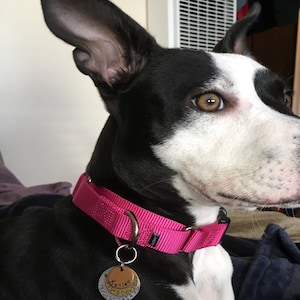 Amy added a photo of their purchase