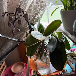 Debra added a photo of their purchase