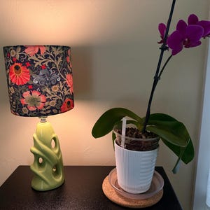Ally added a photo of their purchase