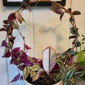Sarah added a photo of their purchase