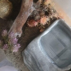 Wendy added a photo of their purchase