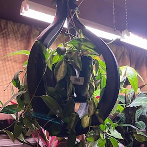 Heather added a photo of their purchase