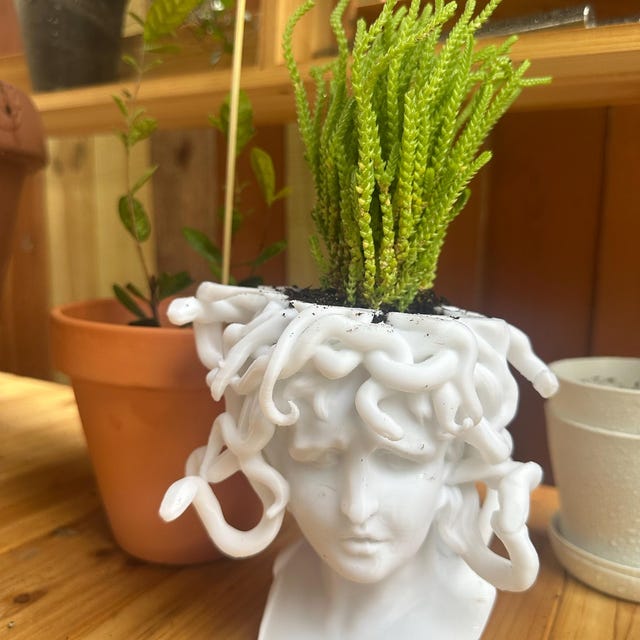 Medusa Succulent Planter, Greek Mythology, Gaming Decor, Gothic