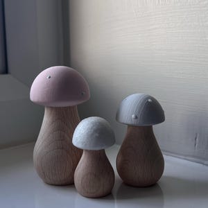 Simona added a photo of their purchase