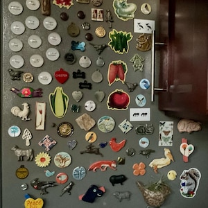 Pamela added a photo of their purchase