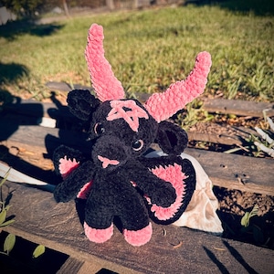 Xénia added a photo of their purchase