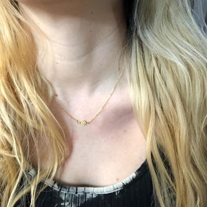 Haley added a photo of their purchase