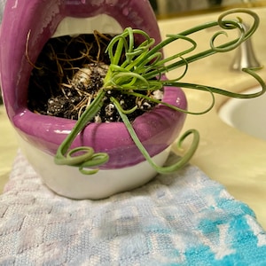 Gianna added a photo of their purchase