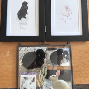 Cairenne added a photo of their purchase