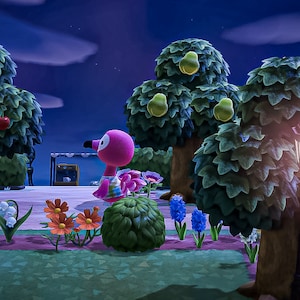 Conta inativa adicionaram uma foto da sua compra