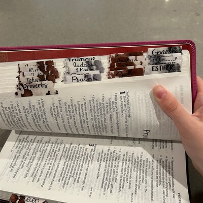 SPANISH Scandal of Grace Peel and Stick Bible Tabs With Adhesive and