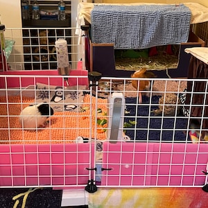 Jaime added a photo of their purchase