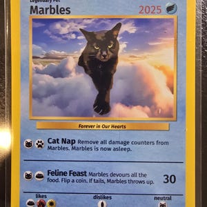 Josh added a photo of their purchase