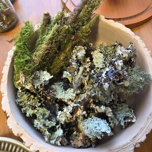 Gabriella ha añadido una foto de su compra