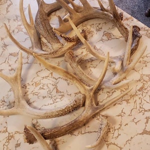 Alicia ha añadido una foto de su compra