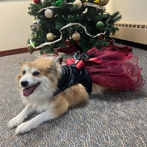 burgundy dog dress Tulle Dress: Formal Rhinestone Brooch, Satin Bodice Long Sleeve Communion Dress Pair your maxi dress Color:Ballerina Pink dog tutu dress
