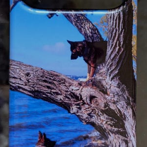 Lisa added a photo of their purchase