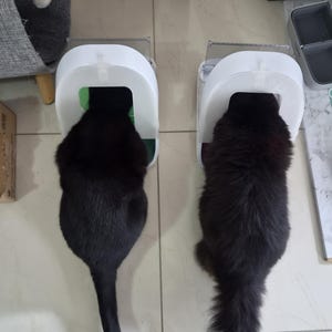 Anis added a photo of their purchase