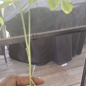 Brenda added a photo of their purchase