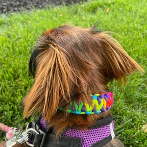 Betsy added a photo of their purchase