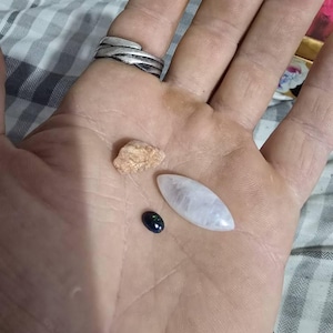 Graham added a photo of their purchase