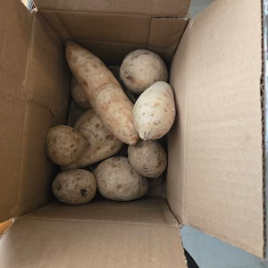 Alejandra a ajouté une photo de son achat