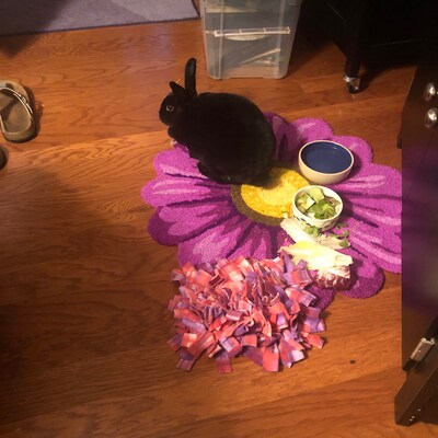Bunny Rabbit Snuffle Mat, Foraging Blanket, Stimulation Treat Toy ...