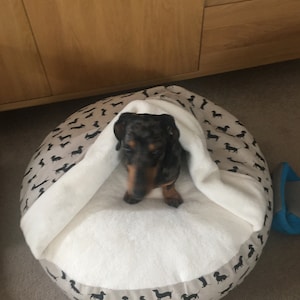 Carol added a photo of their purchase
