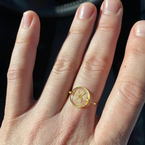 Brittany さんが購入した商品の写真を追加しました