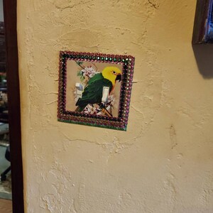 Alice added a photo of their purchase