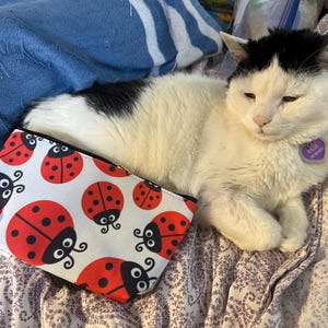 Karen ha añadido una foto de su compra