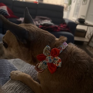 Mellisa added a photo of their purchase