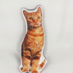 Orange Cat Pillow Cat Lover Gift Pet Pillow Stuffed Cat Lady Funny