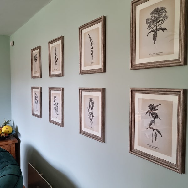 Vintage Botanical Prints Set of 8 Botanical Poster Wildflower Print ...