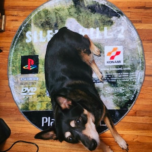 anita added a photo of their purchase