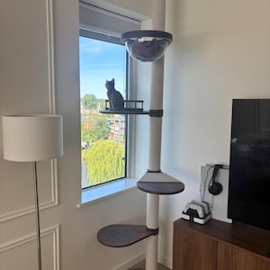 Barbara added a photo of their purchase