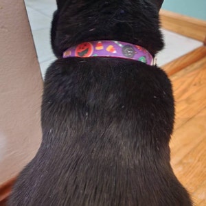 Ronny added a photo of their purchase