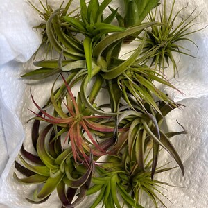 Cheryl a ajouté une photo de son achat