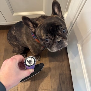 James added a photo of their purchase