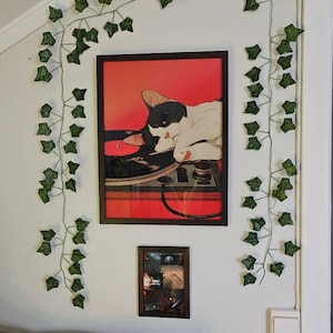 Elias hat ein Foto des gekauften Artikels hinzugefügt