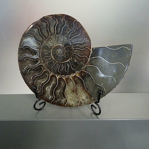 Deborah added a photo of their purchase