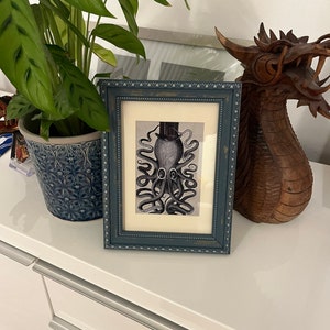 Singita heeft een foto van de aankoop toegevoegd