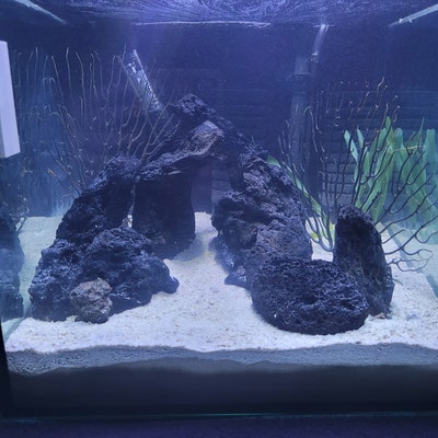 Black Lava Blue Hue Twisted Pillar Set 8 Stones Aquarium Dry - Etsy