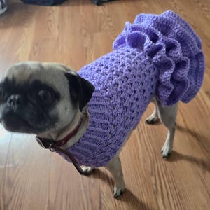 Tenue De Chien Nouveau-né Au Crochet - Costume Bleu Pour Photos - Fait Main - Neuf Sans étiquettes