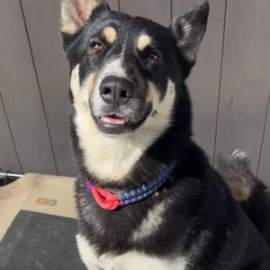 Viko added a photo of their purchase