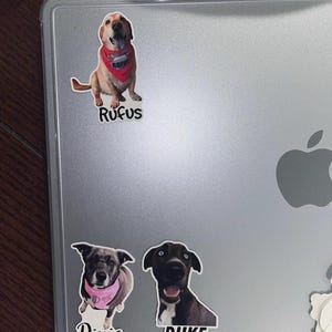 Sydney added a photo of their purchase