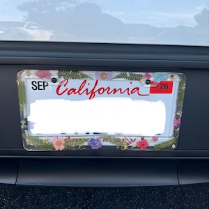 Sapata added a photo of their purchase